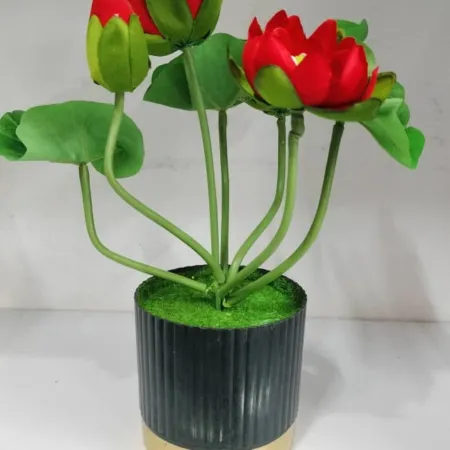 Sapla with Golden Top
