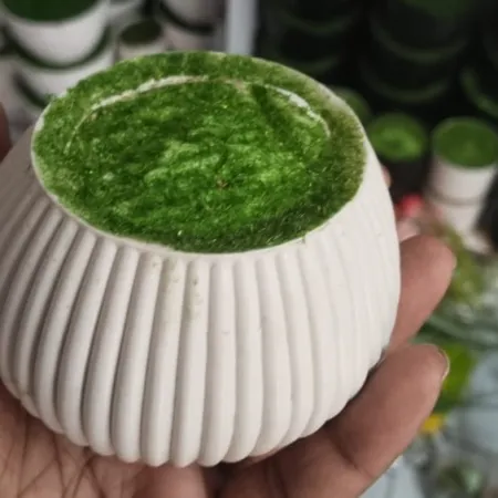 Garlic Top