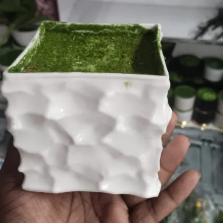 White Stone Top
