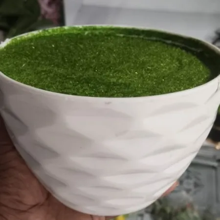 Bowl Top