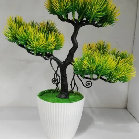 3 Head Bonsai with Sili Top