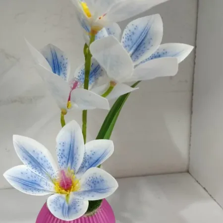 New Orchid Big