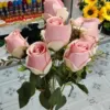 11 Rose Flower