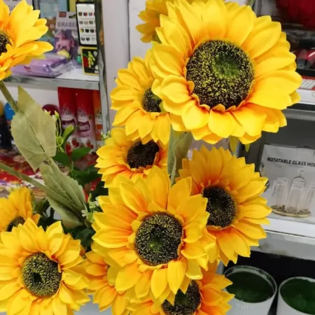 Sun Flower