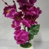 Cherri Flower