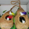 Nest