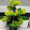 7 Head Bonsai
