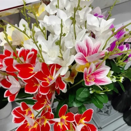 Orchid B