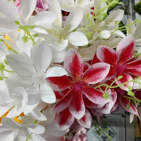 Orchid A
