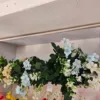 New Flower