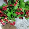 Cherri