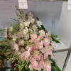 New Orchid