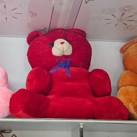 Teddy