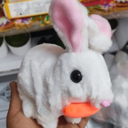 Rabbit