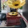 Phonograph