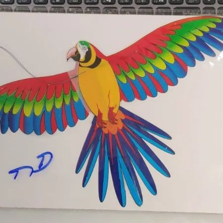 Kite