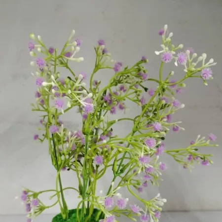 Grass Flower