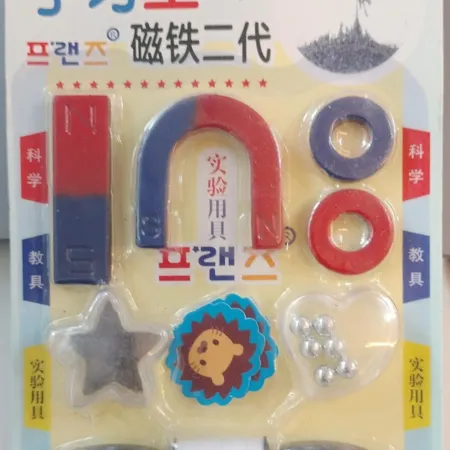 Magnet