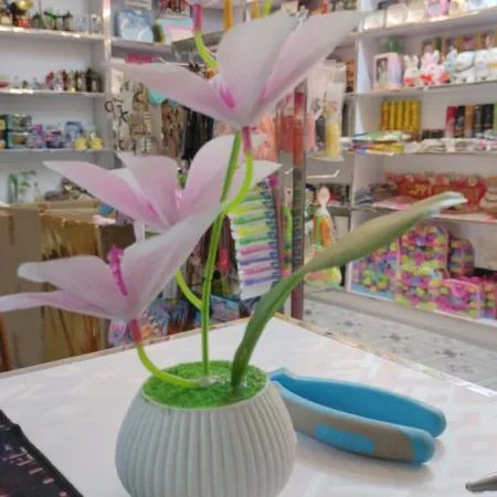 Orchid with Garlic Top