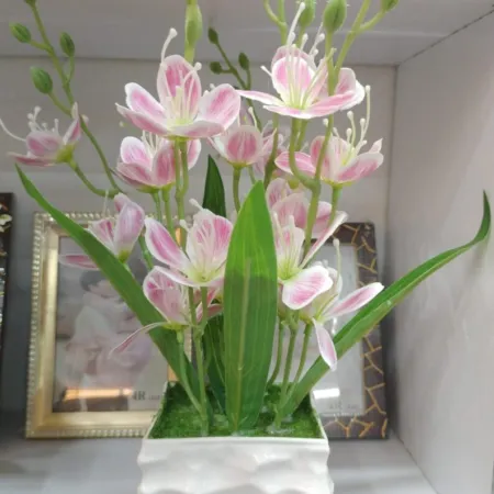 New Orcid with Stone Top