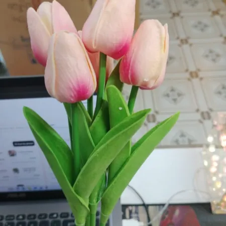 Tulip