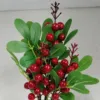 Cherri