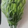 Grass