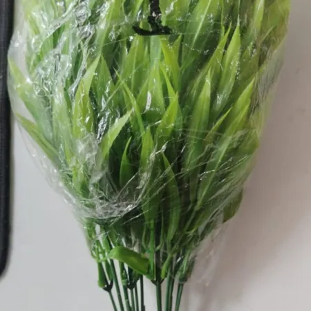 Grass