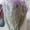 Los Vendar Flower