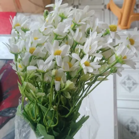 Daiji Flower