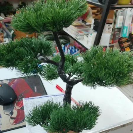 5 Head Bonsai