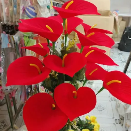 18 Lili