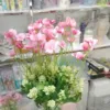 Sakura Flower