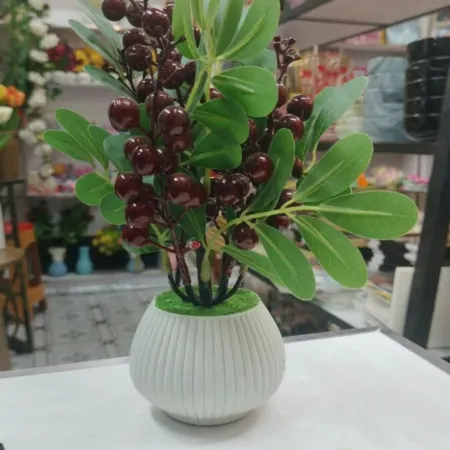 Cherri with Garlic Top